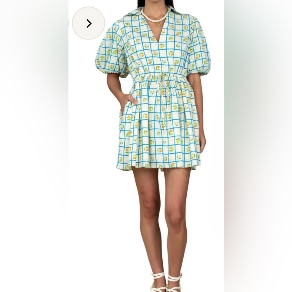 Blue & White Checked Floral Mini Dress